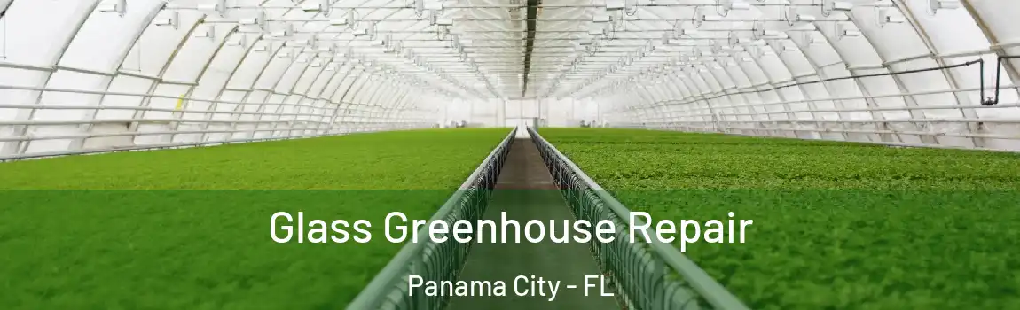  Glass Greenhouse Repair Panama City - FL