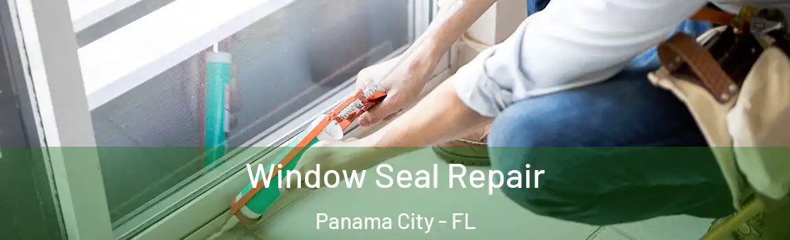  Window Seal Repair Panama City - FL
